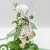 description-image-14.jpeg