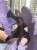 description-image-2.jpeg