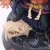 description-image-12.jpeg